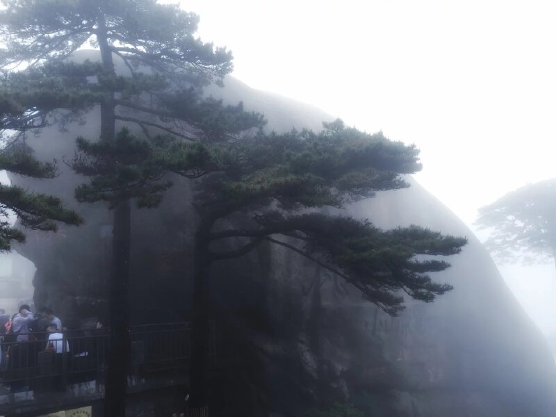 # 我的悠然假期# 爱就跟我走~