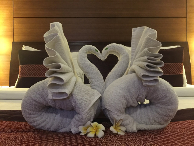 蜜月布置毛巾叠的天鹅