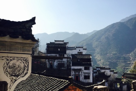 <江西婺源1日游>黄山市屯溪出发寻找美丽乡村含中餐