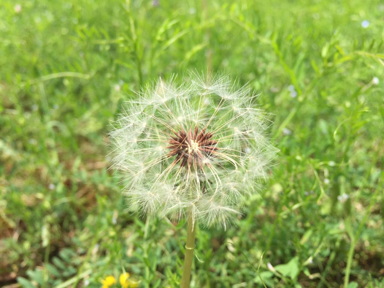 六月底去从南京去重庆会不会觉得很热呀?