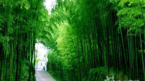  溧阳天目湖-南山竹海-双高铁2日游>宿湖区普通商务赠