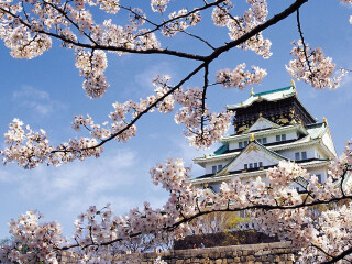 組團去日本_日本八月份旅游_到日本旅游報團價格