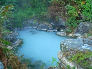 西双版纳著名旅游_跟团旅游西双版纳旅游_西双版纳旅行报团