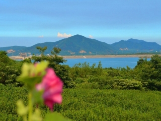 江苏宜兴有多少人口_江苏宜兴地图(3)