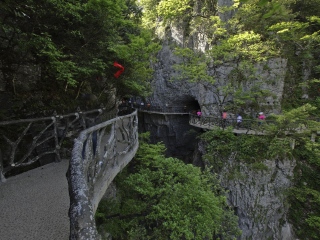8月張家界旅游_張家界過春節(jié)旅行團_去張家界報團多少錢