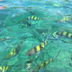 景点模块 