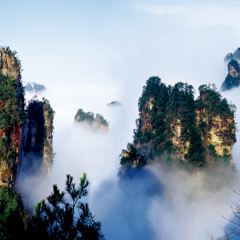 景点模块 