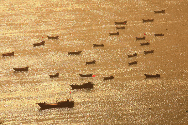 上海到嵊泗怎么去_上海到嵊泗远吗_上海到嵊