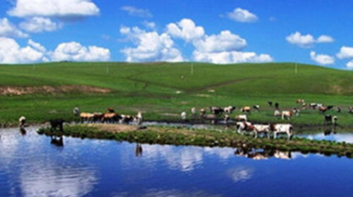 <呼伦贝尔大草原-额尔古纳-室韦-满洲里-呼伦湖双卧7日游