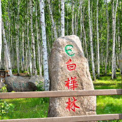 景点模块 