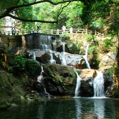 鼎湖山