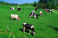 在农场里住一晚