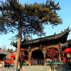 景点模块 