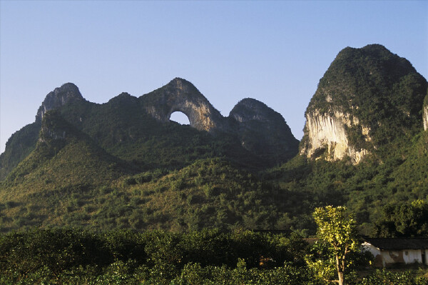 县简介_桂灵川县旅游  广西灵川县灵川县位于广西壮族自治区东北部,东