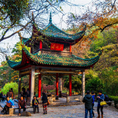 活动模块 