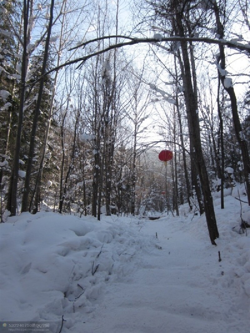 2016冬季去北方赏雪
