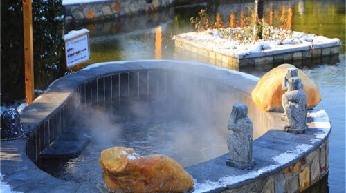 单人套餐-山东潍坊临朐揽翠湖温泉自驾2日游