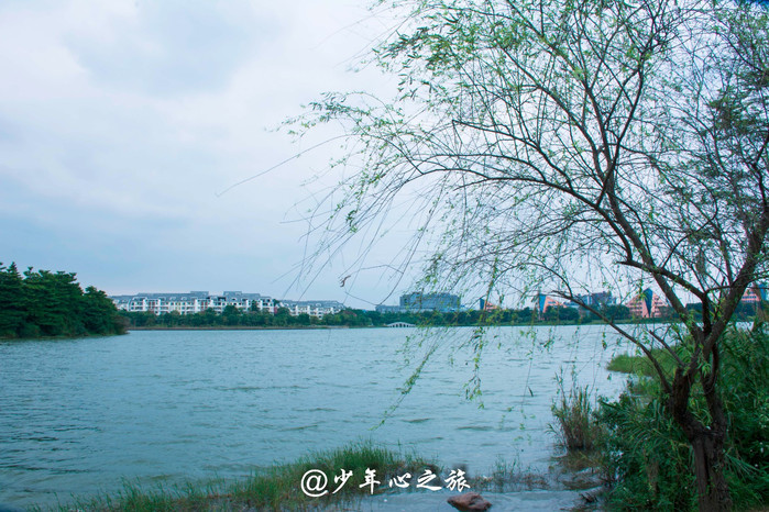 松湖烟雨,生态骑行——东莞松山湖