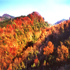 景点模块 