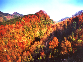 桂林旅游几月份最合适_桂林旅游几月份最好_桂林自由游价格多少