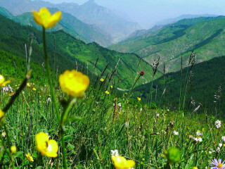 山西旅游最新_山西旅游游_山西旅游多少钱精品