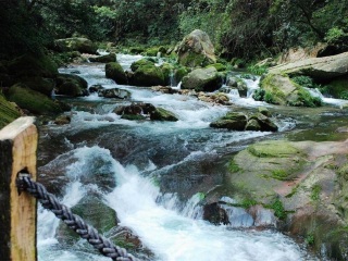張家界游特價(jià)團(tuán)_張家界2人旅游需要多少錢(qián)_8月張家界旅游