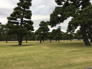 日本大阪旅游要多少錢2021_東莞到日本大阪游_組團去日本大阪