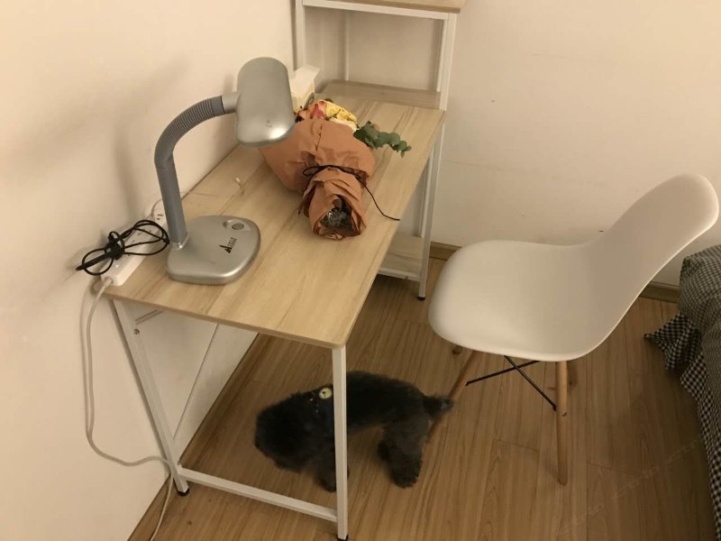 客房