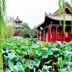 景点模块 