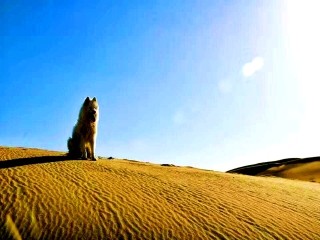 現(xiàn)在到嘉峪關旅游多少錢_嘉峪關游跟團多少錢2021_怎么去嘉峪關旅游