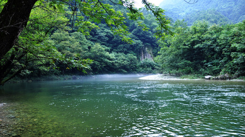  成县西狭颂碑-阳坝梅园沟-武都万象洞-哈达铺红军长征纪念馆4日游>