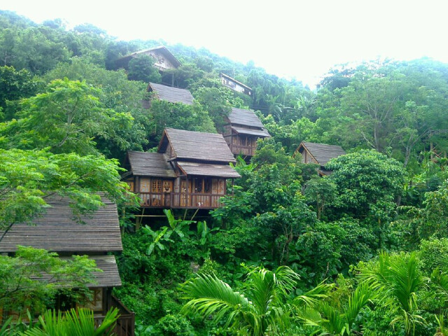 三亚槟榔谷-呀诺达2日游一天一景点,槟榔谷含中餐,黎族,雨林深
