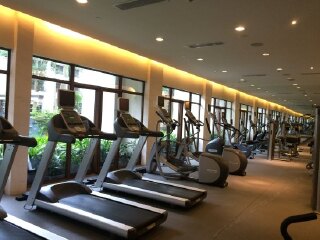 廈門鼓浪嶼游組團_廈門鼓浪嶼游跟團_廈門鼓浪嶼游特價團