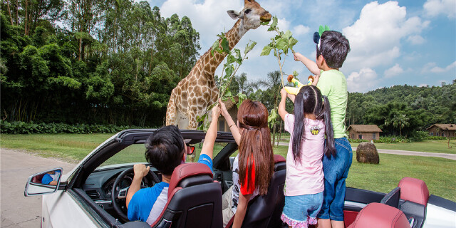 长隆周边酒店推荐-广州长隆2日自助游 住广州