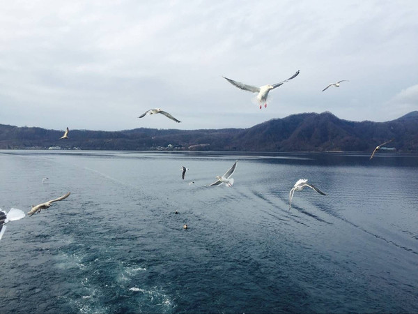 房县到北海道旅游_房县到北海道旅游价格_房