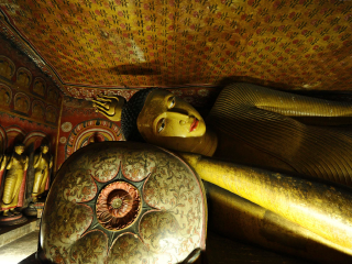 去斯里蘭卡靠譜的旅行團_去斯里蘭卡游怎么省錢_斯里蘭卡自由行還是跟團好