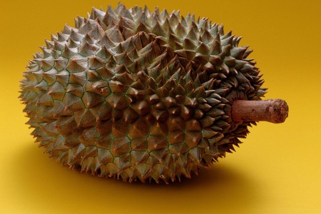 food_picture