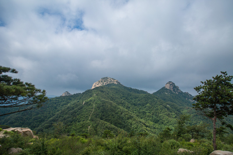 蒙山高,沂水长,沂蒙山区好地方