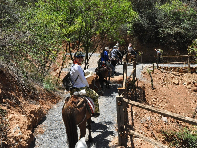 茶马古道骑马