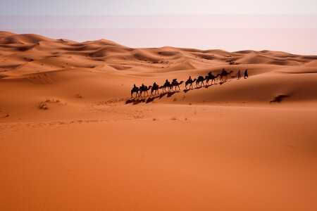 <摩洛哥特色城镇+撒哈拉沙漠7日当地集散