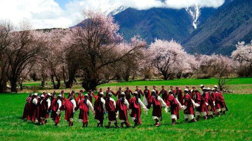 <重庆-林芝-措木及日-雅鲁藏布大峡谷-苯日神山-桃花节-布达拉宫-大昭寺-羊卓雍错环飞8日游>环飞不走回头路、水陆联运船游大峡谷__出发_途牛