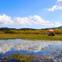 拉市海田园风光 景点模块