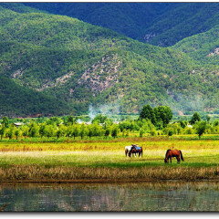 拉市海田园风光 景点模块