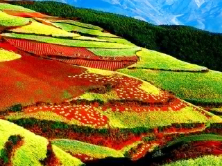 云南昆明旅游要多少錢跟團(tuán)_到云南昆明旅游多少錢_報(bào)團(tuán)去云南昆明多少錢
