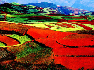 云南昆明旅游要多少錢跟團(tuán)_到云南昆明旅游多少錢_報(bào)團(tuán)去云南昆明多少錢