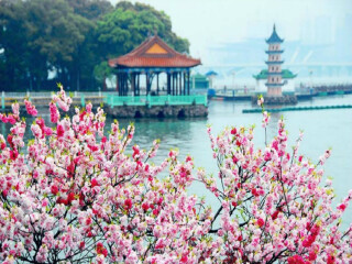 華東旅游多少錢_怎么去華東旅游_去華東旅游要多少錢