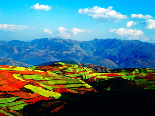 昆明旅游跟团去_昆明游旅游团报价_去昆明旅游的报价