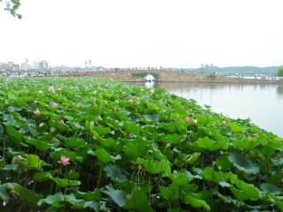 華東旅游多少錢_怎么去華東旅游_去華東旅游要多少錢