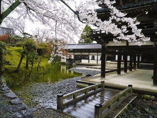 日本旅游最佳路線_日本旅游幾月份最便宜_深圳日本六日游純玩團(tuán)