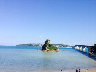 到日本旅游多少錢_去日本游怎么省錢_東莞到日本游